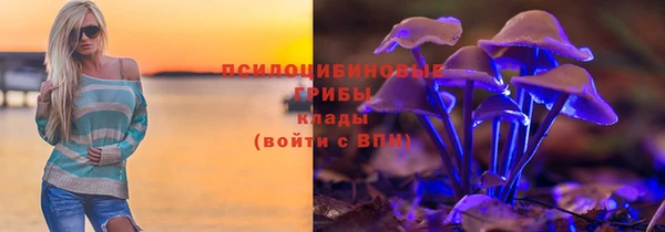 ECSTASY Белокуриха