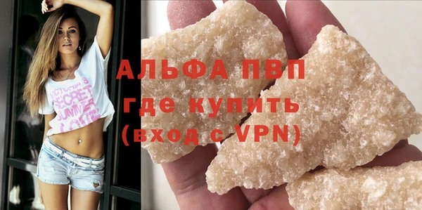 ECSTASY Белокуриха