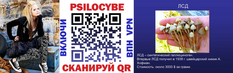 Галлюциногенные грибы Psilocybe Каневская