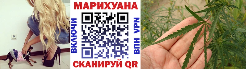 Каннабис семена  Каневская 